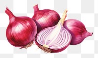 PNG Vegetable shallot onion plant. 