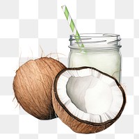 PNG Coconuts fruit plant drink. 