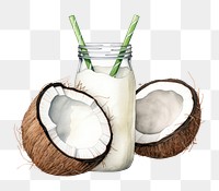 PNG Coconut fruit plant food. 