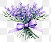 PNG A lavender flower ribbon purple