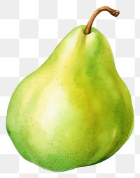 PNG  Pear fruit green plant. AI generated Image by rawpixel.