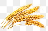 PNG Wheat food agriculture triticale. AI generated Image by rawpixel.