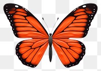 PNG Butterfly animal insect  