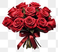 PNG Red roses bouquet flower plant 