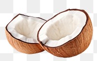 PNG Coconut fruit plant  