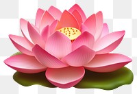 PNG Lotus flower petal plant. 