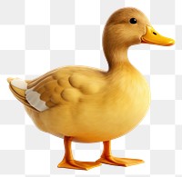 PNG Duck duck animal bird. 