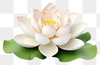 PNG White lotus flower petal plant. 