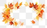 PNG Maple leaves leaf backgrounds falling. 