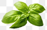 PNG Basil leaves disperse vegetable basil plant. AI generated Image by rawpixel.