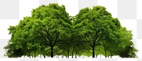 PNG Green Trees forest green tree. AI generated Image by rawpixel.