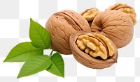 PNG Nut walnut plant food. 