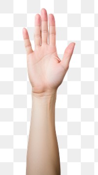 PNG Woman hand gesture finger white background gesturing. 