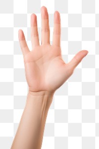 PNG Woman hand help finger gesturing touching. AI generated Image by rawpixel.