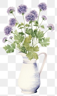 PNG Flower plant herbs vase. 