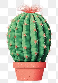 PNG Cactus plant art flowerpot. 