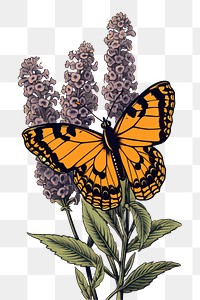 PNG  Butterfly bush lavender cartoon flower. AI generated Image by rawpixel.