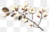 PNG  Blossom branch flower nature. AI generated Image by rawpixel.