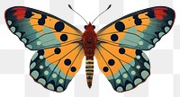 PNG  Lymantria dispar dispar butterfly insect animal. AI generated Image by rawpixel.