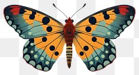 PNG Lymantria dispar dispar butterfly insect animal. 