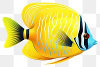 PNG Agel butterfly fish animal white background pomacanthidae. 