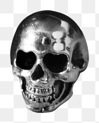 Human skull png, transparent background