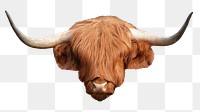 Cow png sticker, transparent background