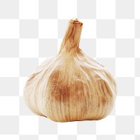 Fresh garlic png sticker, transparent background