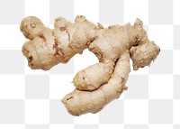 Ginger vegetable png, transparent background