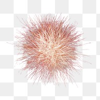 Celebration firework png sticker, transparent background