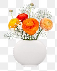 Png Persian buttercup in vase sticker, transparent background