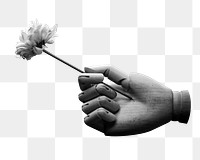 Mannequin hand holding flower png, transparent background