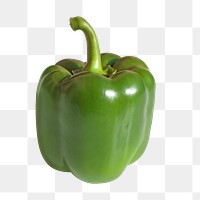 Bell pepper vegetable png, transparent background