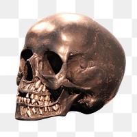 Bronze skull png sticker, transparent background