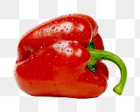 Bell pepper vegetable png, transparent background