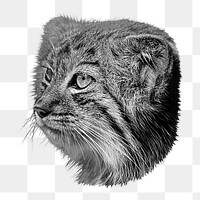 Gray tabby cat png sticker, transparent background