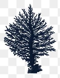 Gorgonian coral  png sticker, transparent background