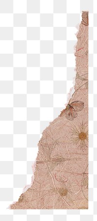 Ripped flower png ephemera paper sticker, transparent background