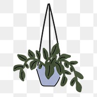 Hanging plant png sticker, transparent background