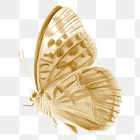 Gold butterfly png sticker, aesthetic illustration on transparent background