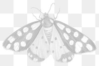 Faded moth png sticker, aesthetic illustration on transparent background