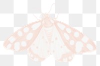 Pastel moth png sticker, aesthetic illustration on transparent background