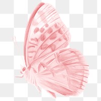 Pink butterfly png sticker, aesthetic illustration on transparent background