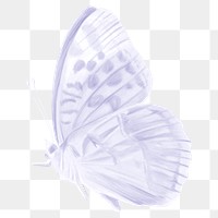 Purple butterfly png sticker, aesthetic illustration on transparent background