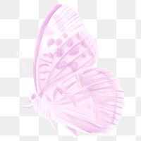 Purple butterfly png sticker, aesthetic illustration on transparent background