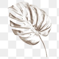 Silver monstera leaf png sticker, transparent background