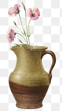 Flower in a jug png cut out on transparent background 