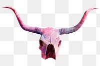 Pink longhorn skull png cut out on transparent background 