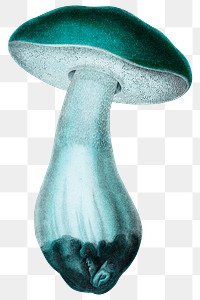 Neon mushrooms  png cut out on transparent background 