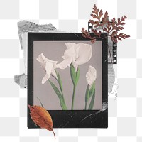 White Irises png sticker, Ogawa Kazumasa's artwork in instant film transparent background. Remixed by rawpixel.